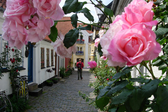 "Den glade vandrer..." - En idyllisk gåtur i Aalborgs gamle kvarter. Fotograf: Susanne Randers