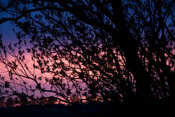 Solnedgang over marken ved min landsby. Når jeg ser på, at solen gå ned over marken, føler jeg den største sammenhørighed mellem naturen, universet og skaberkraften i mig selv. Fotograf: Susanne Randers