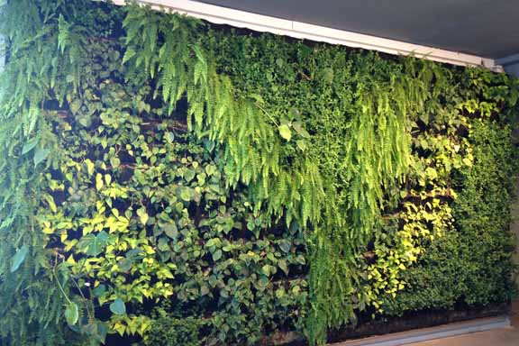 Indgangspartiet i Soho Kontorhotel: En levende grøn væg. Fotograf: Susanne Randers