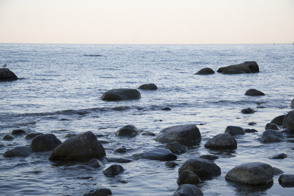 Møns klint - smukke sten i vandkanten. Fotograf: Susanne Randers