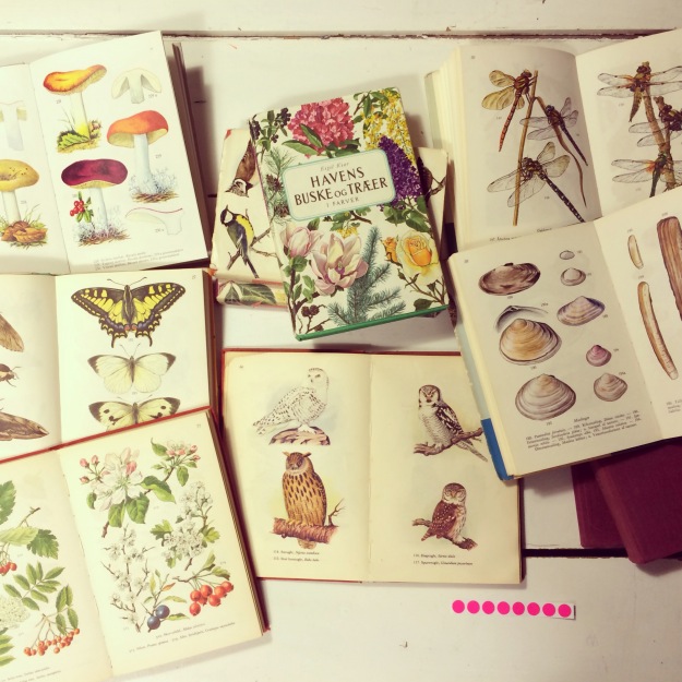 365 mood boards in 2014. Mood board #66: Treasure hunting for fauna, flora, birds and fish. Smashup. Instagram filter Valencia. Photographer: Susanne Randers